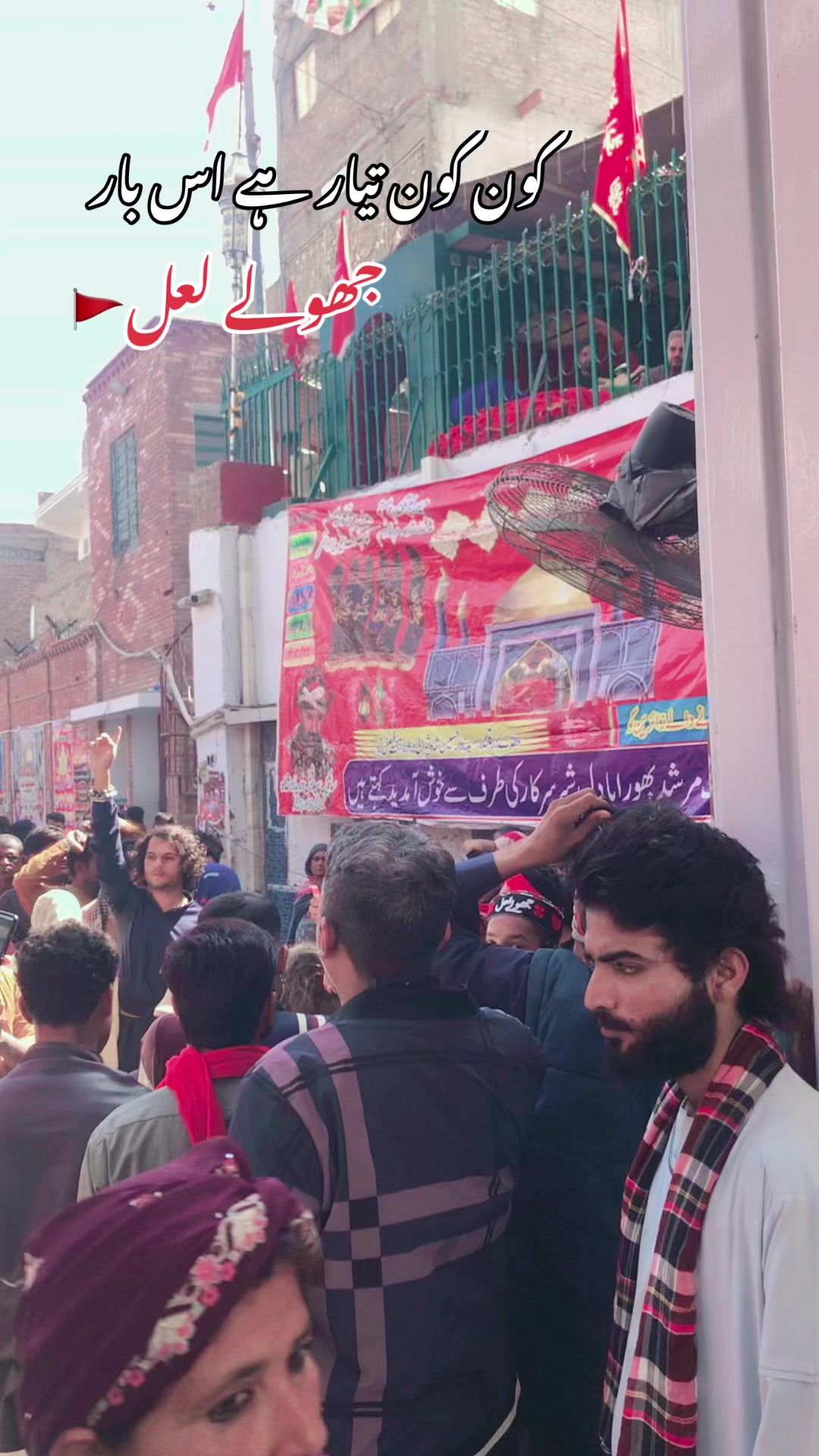 @najaf ali 786