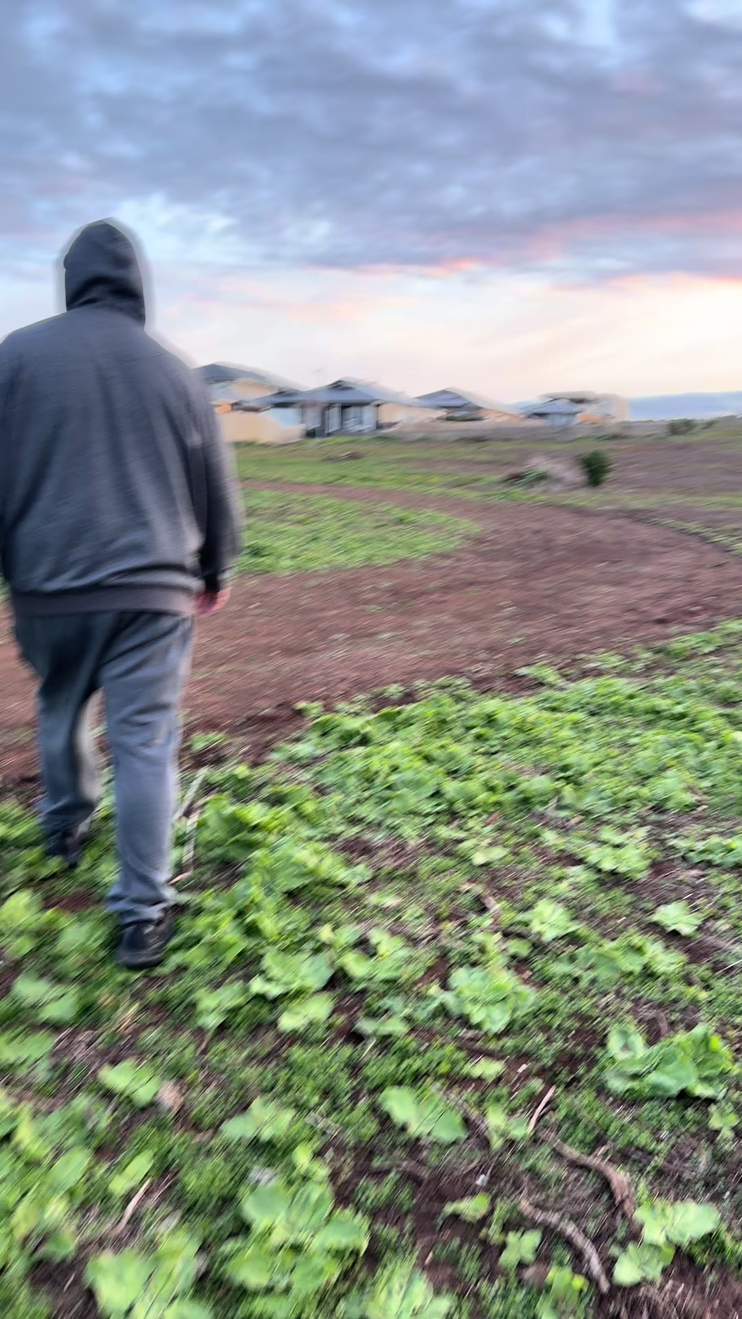 @akari🇵🇭🇦🇺