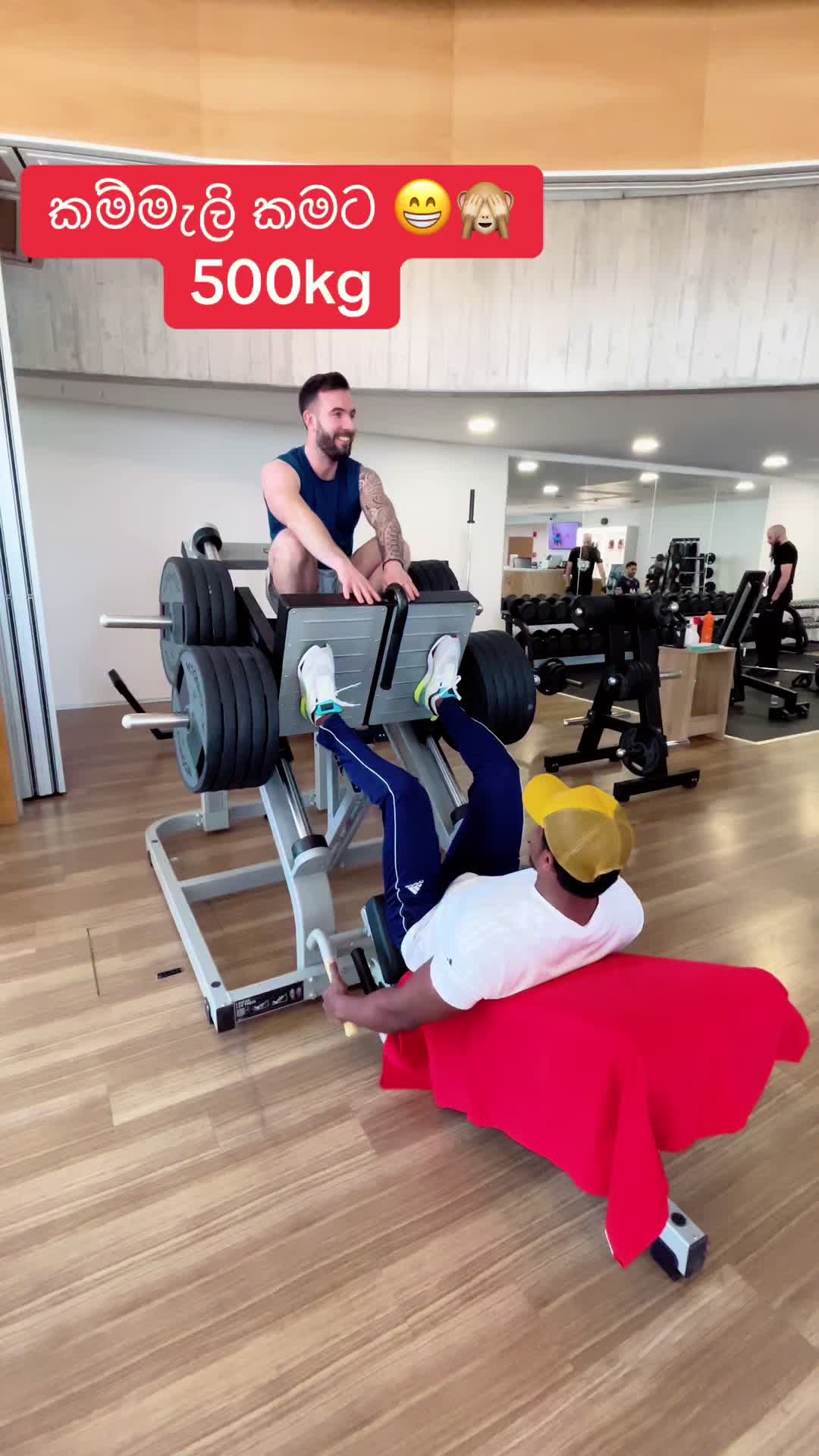 @𝐈𝐌𝐀    🦁🇨🇭🪶