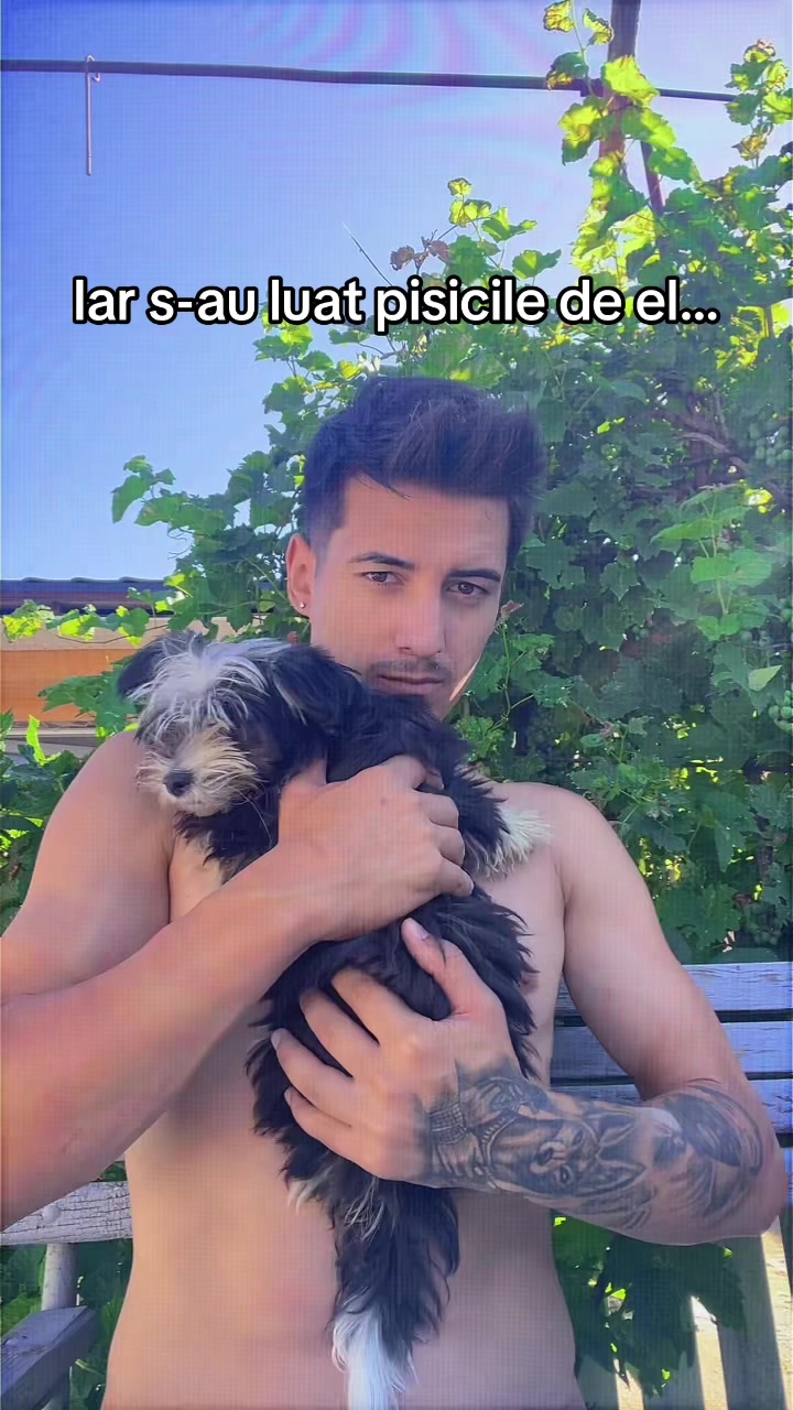 @Tălpeanu