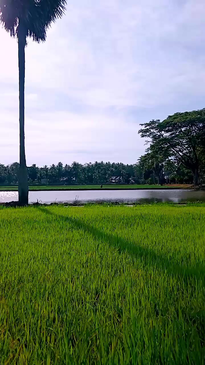 @Sudhy