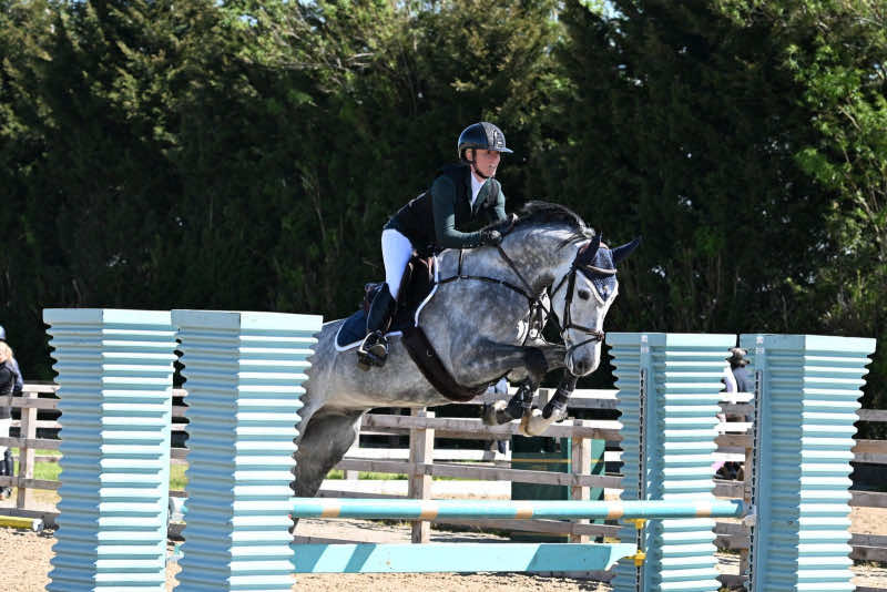 @Lucy Struthers Horses