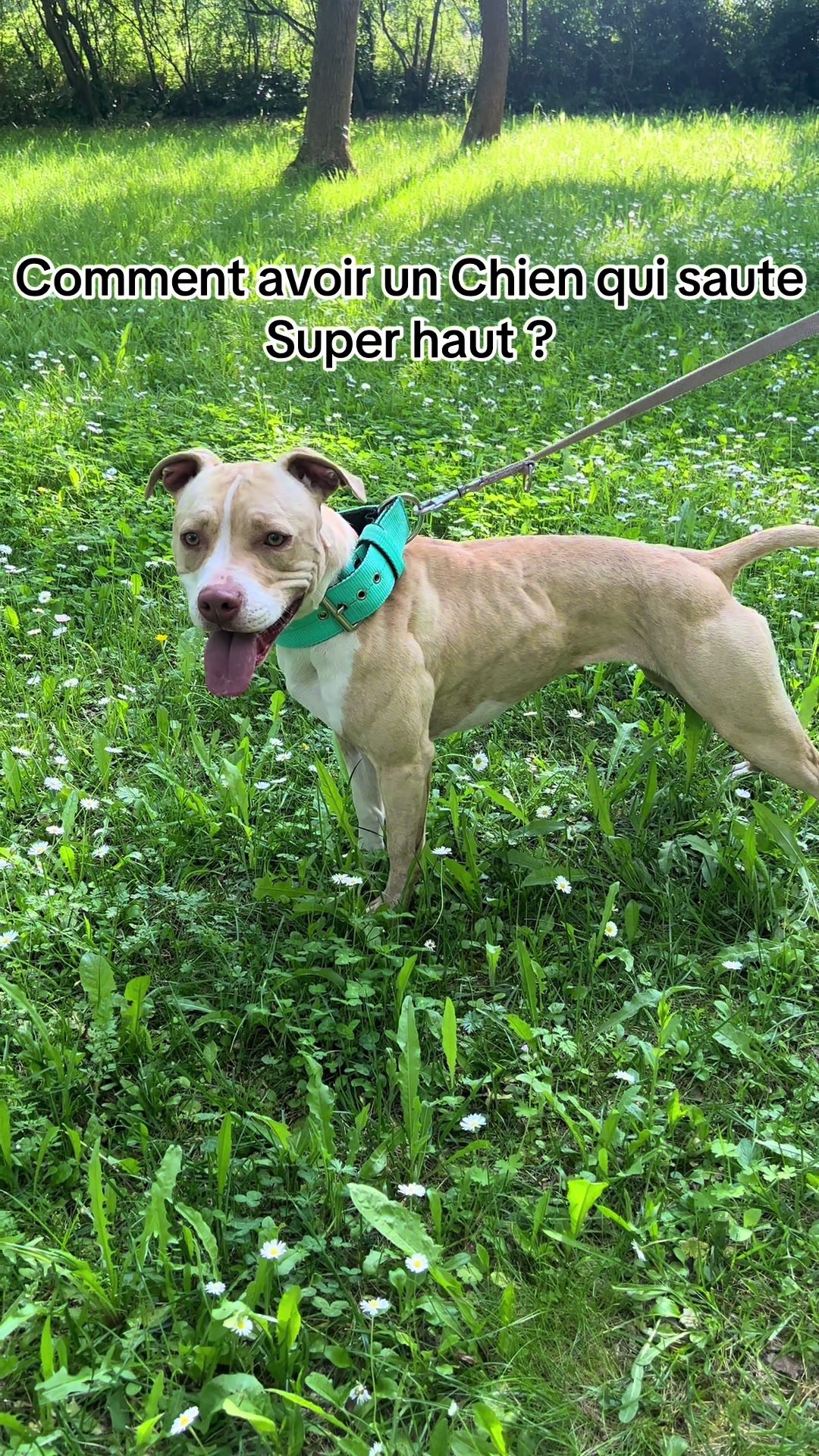 @kiara_isis_apbt