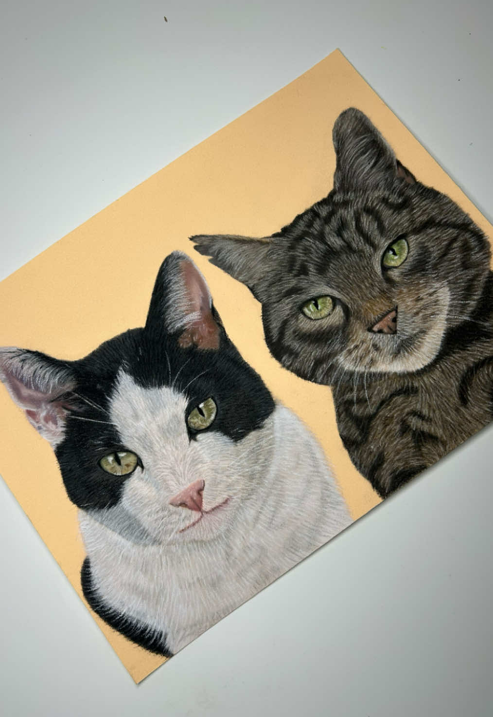 @Pet portraits
