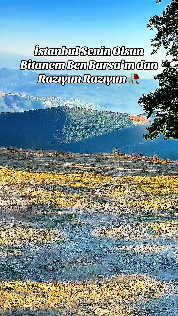 @@bursaliahmet