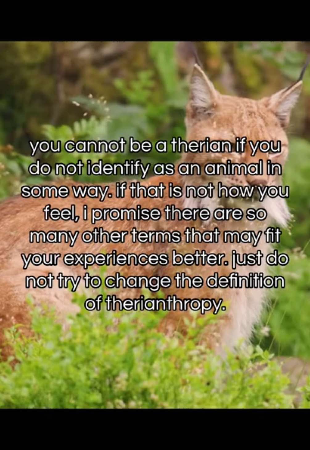 @⋮ ✩ 𝘭𝘺𝘬𝘰𝘴ˏˏ𓄀