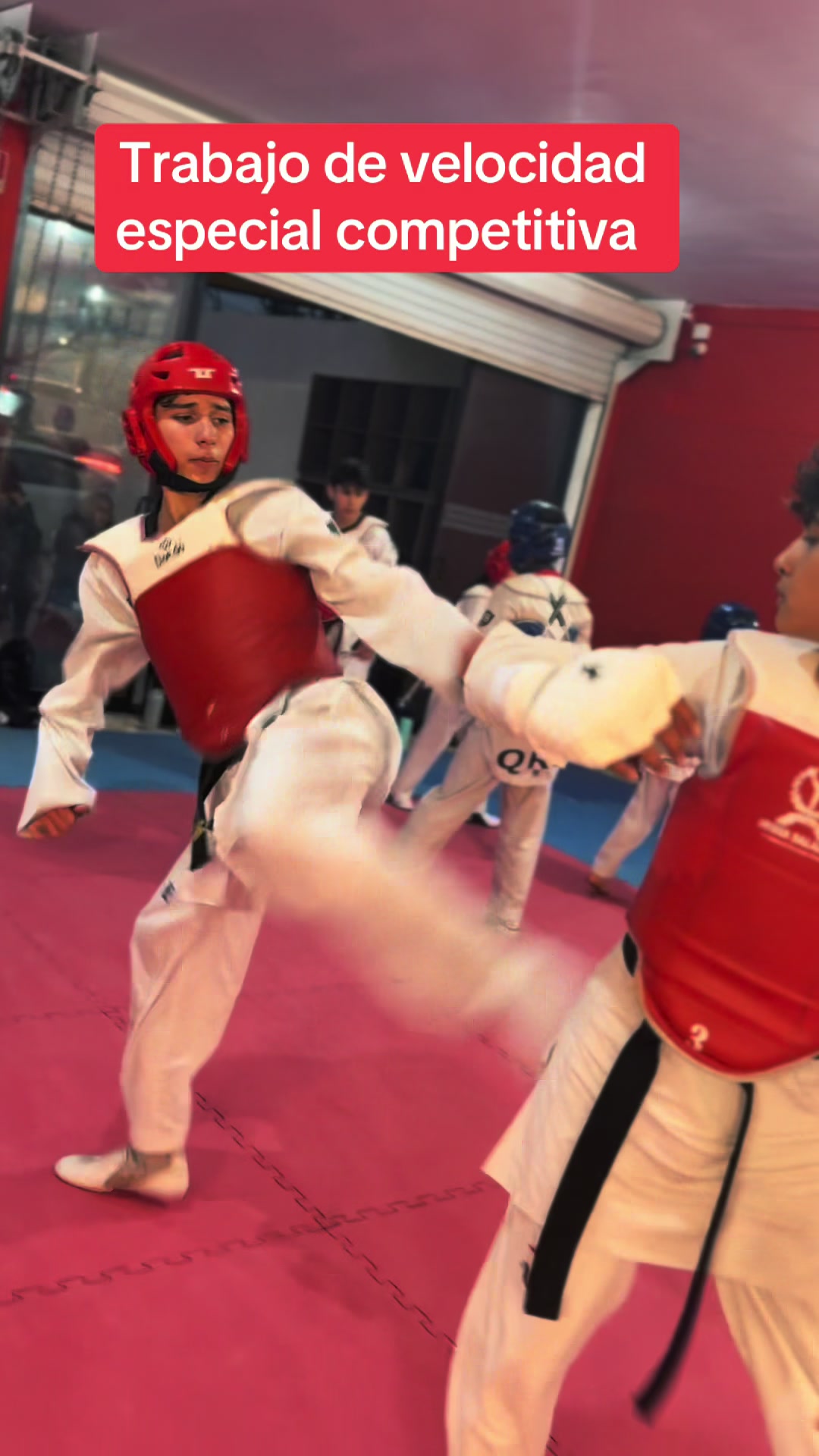 @Especialistas TKD