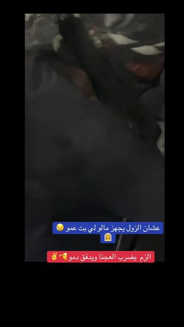@,ٓاخو ,ٓعموري 919