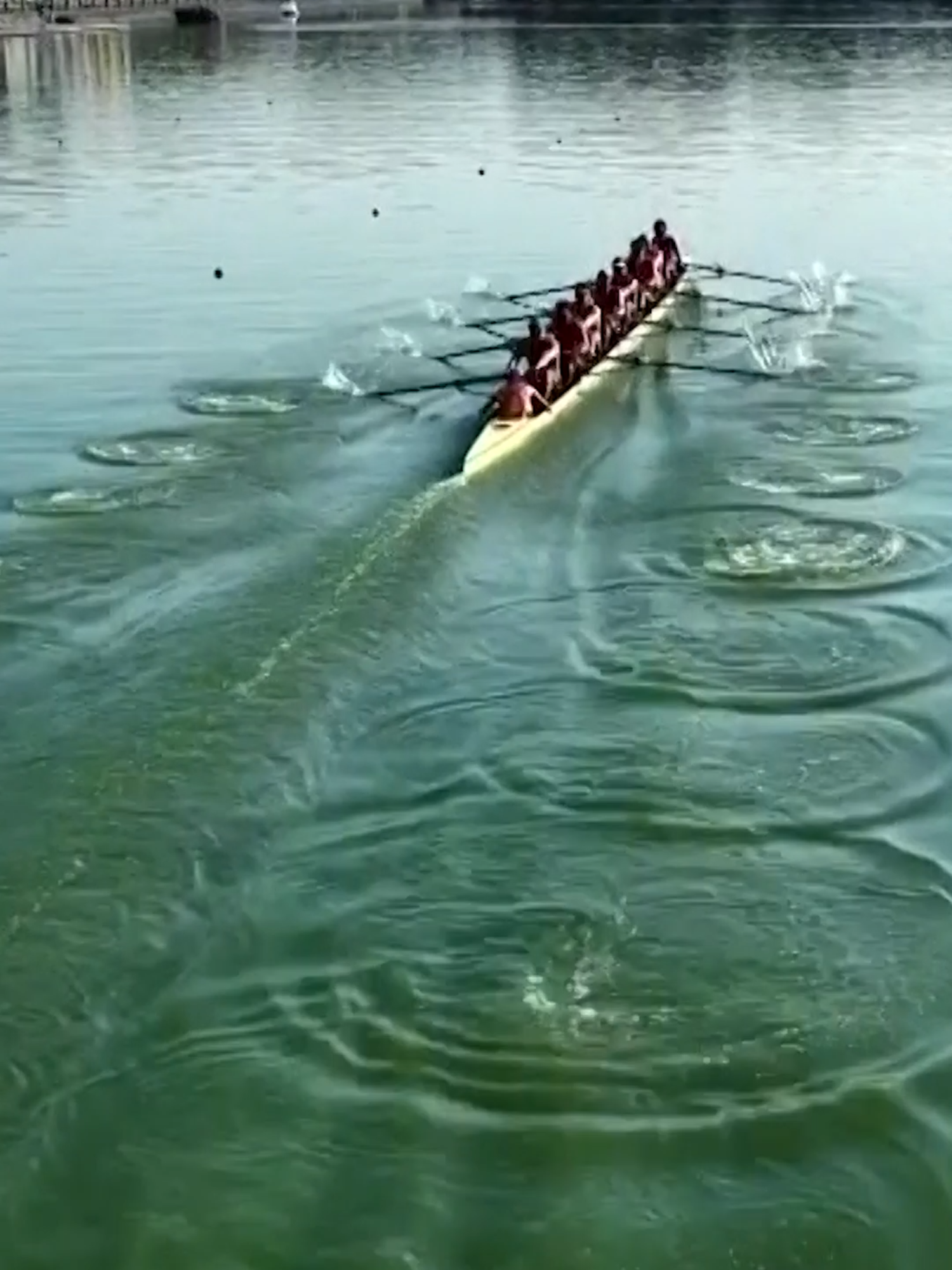 @World Rowing
