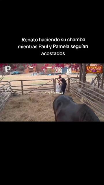 @SoloChisme