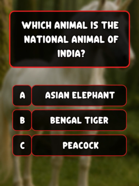 @Quiz Master 365