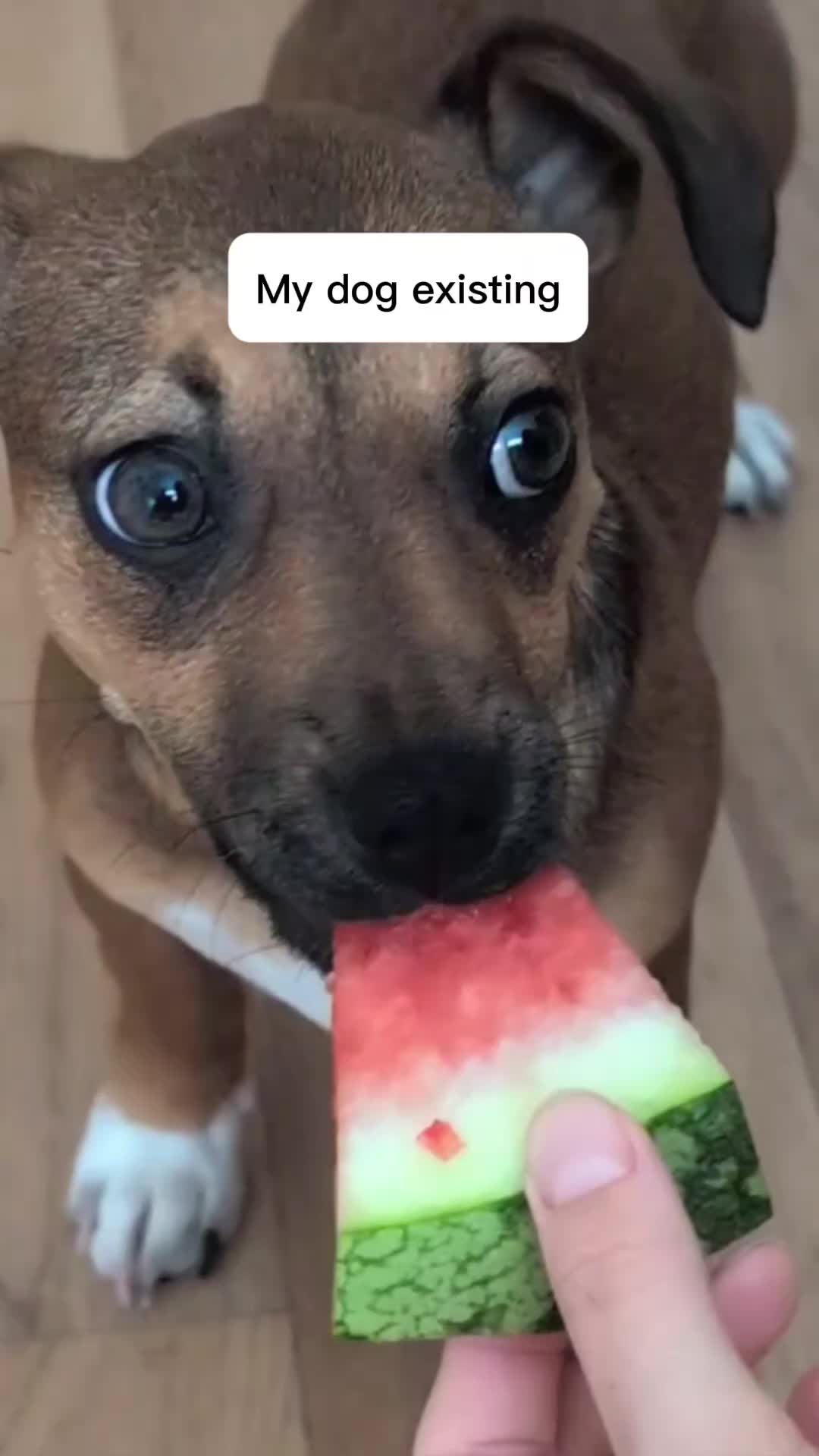 @Ruby roo