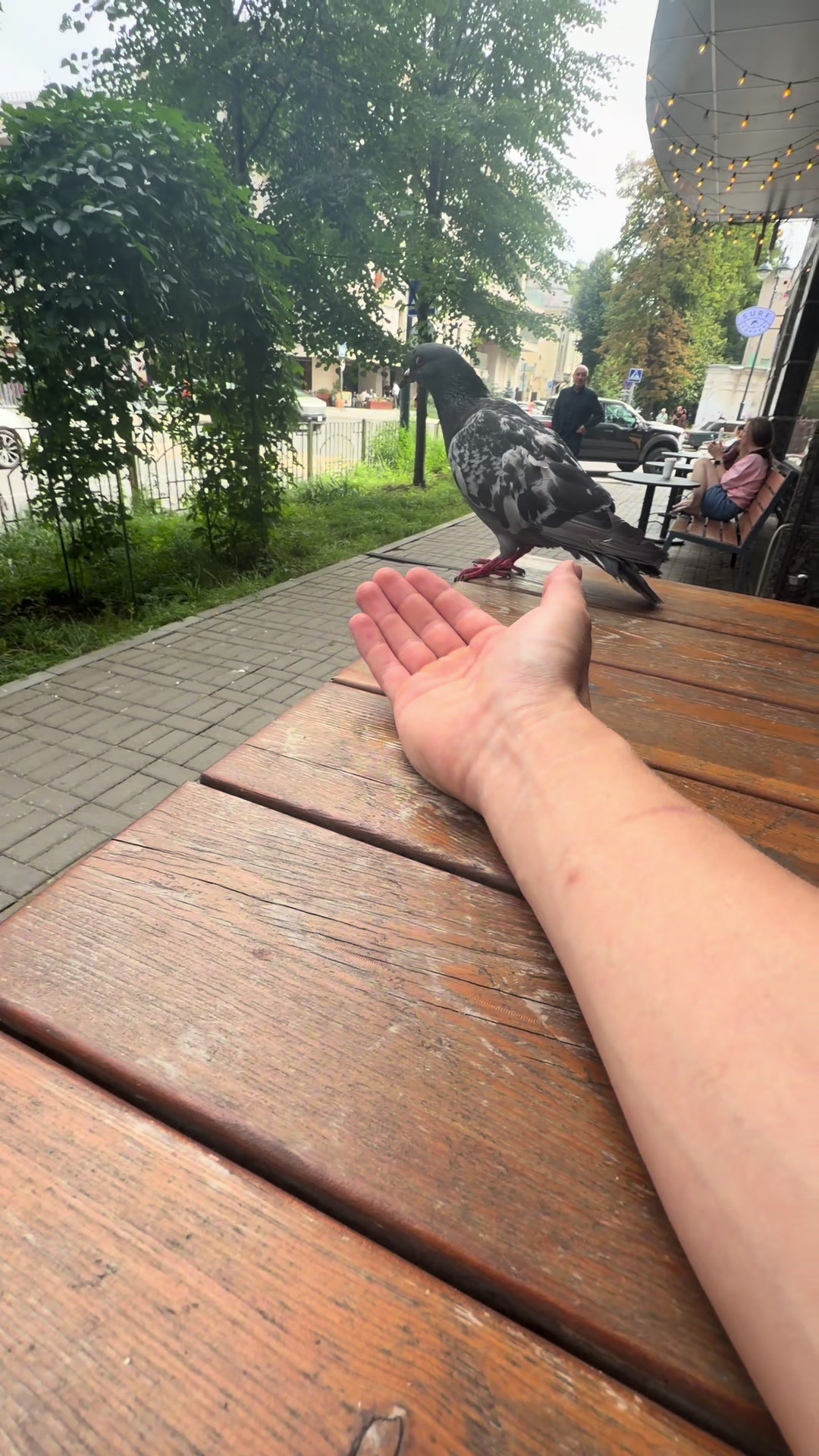 @Amik_No4