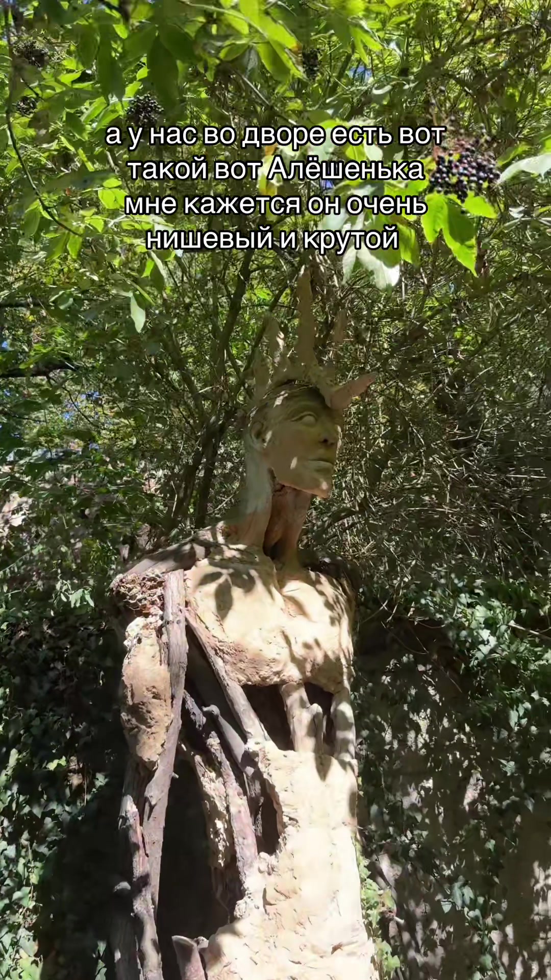@Не 🐳