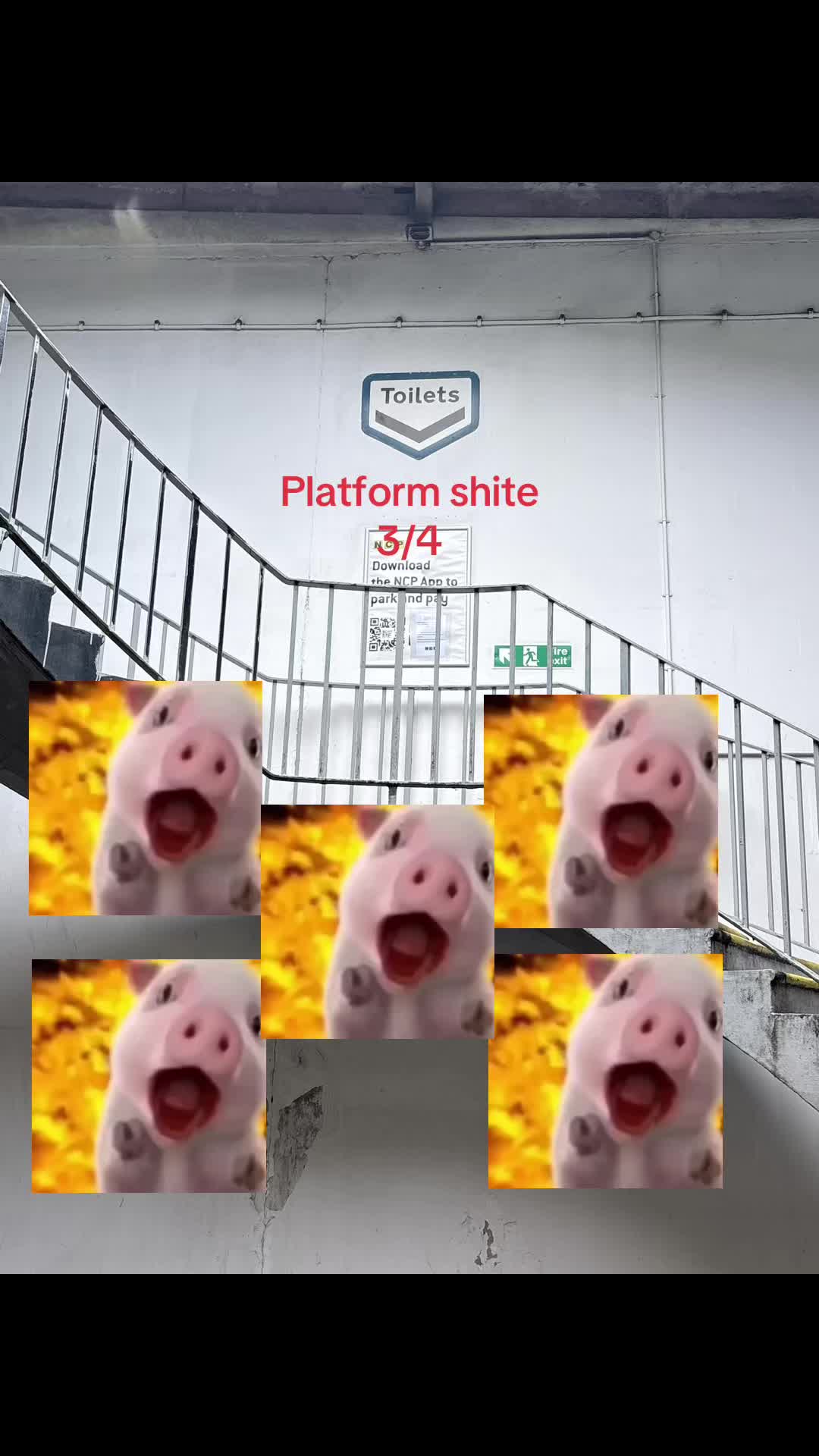 @That_one_thomas_fan