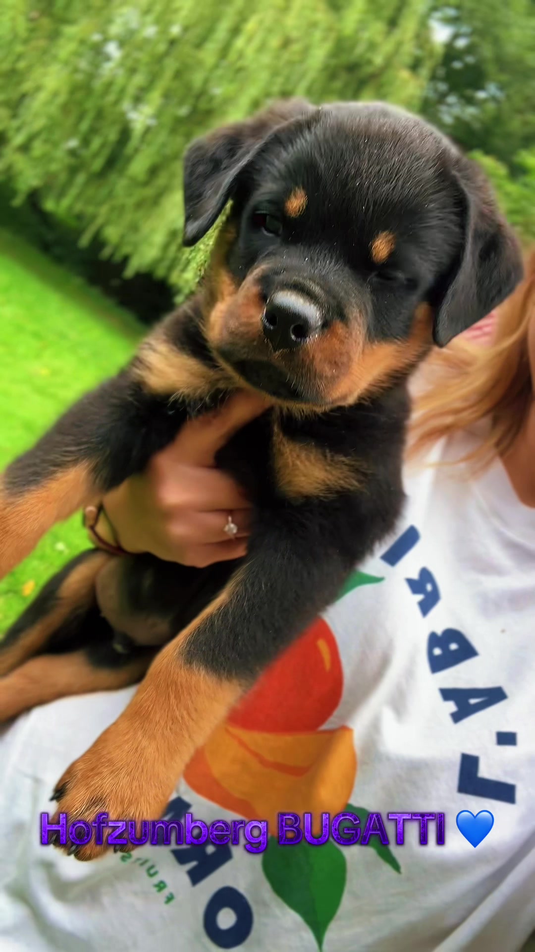 @🇱🇻Kennel HOFZUMBERG🇱🇻