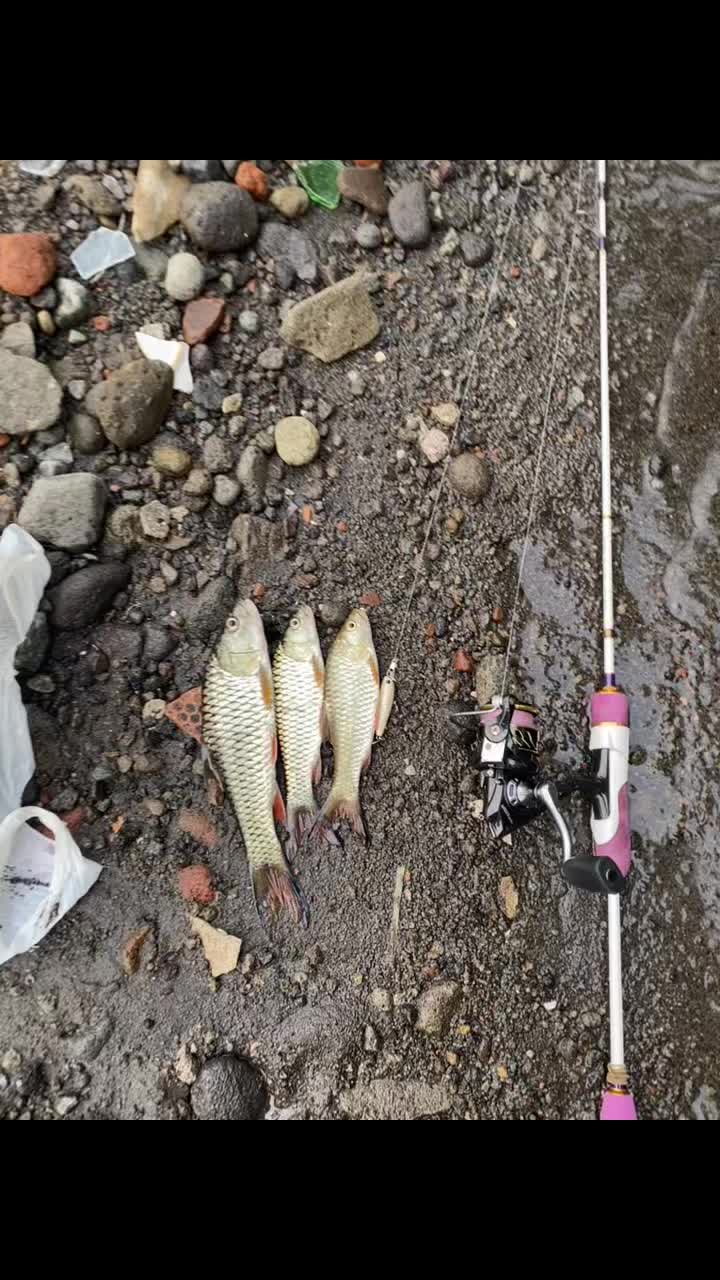 @BINZZFISHING