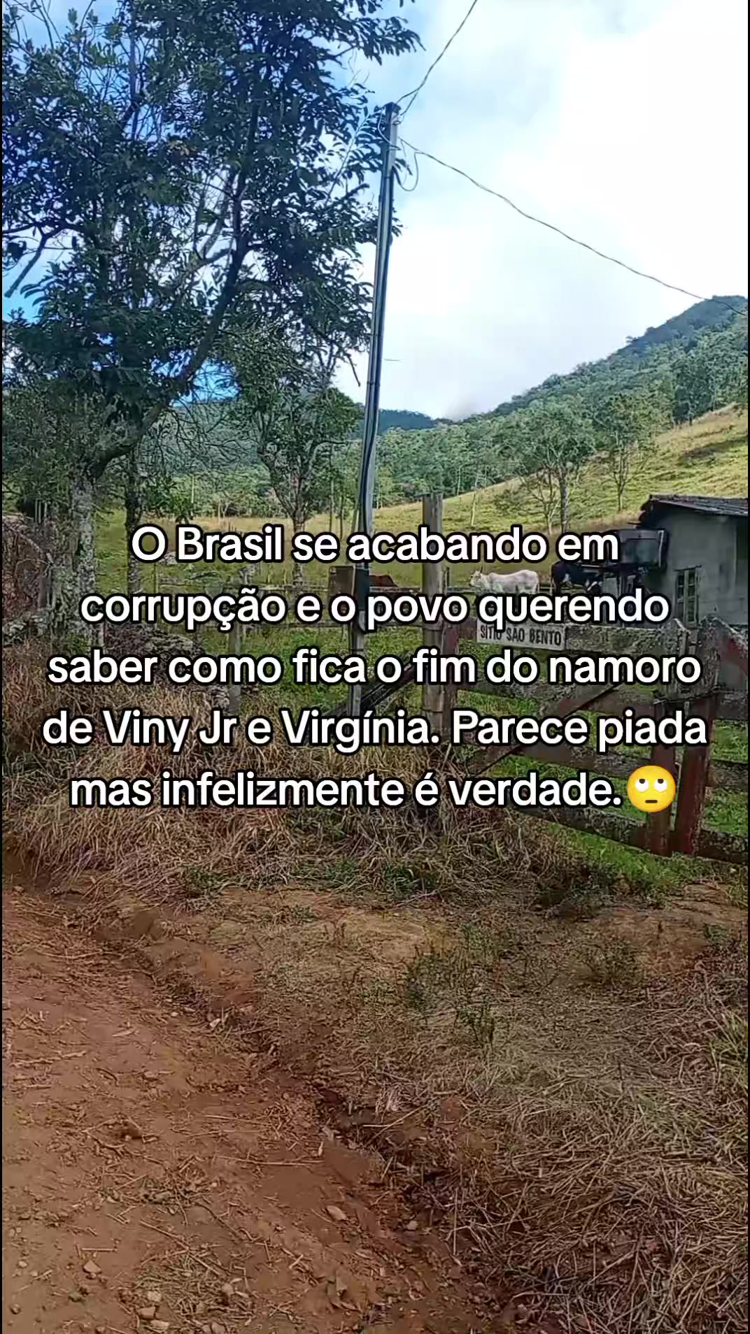 @Criatório Fênix 🐦🔥