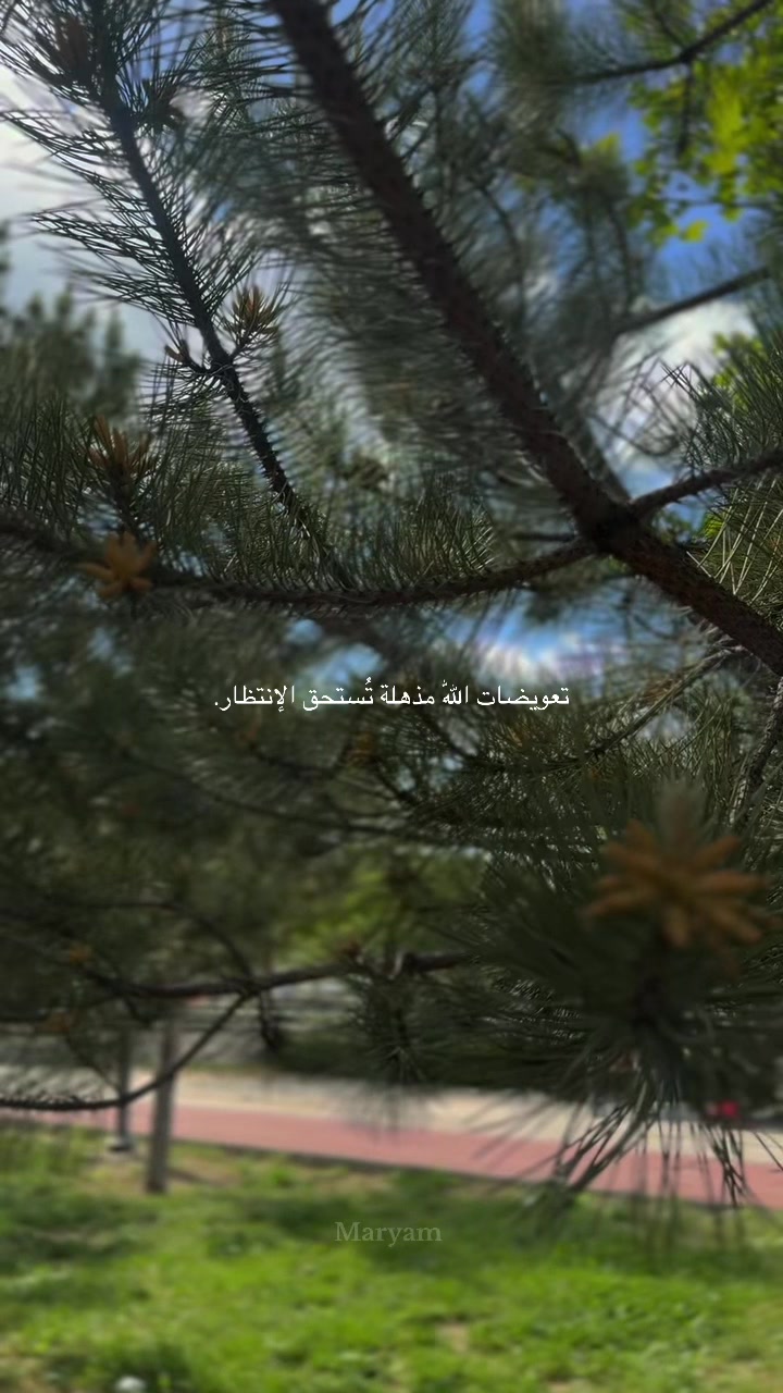 @Maryam