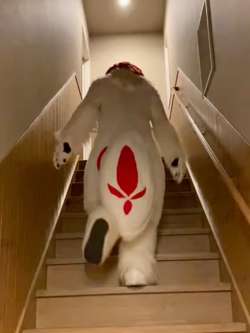 @radywolf