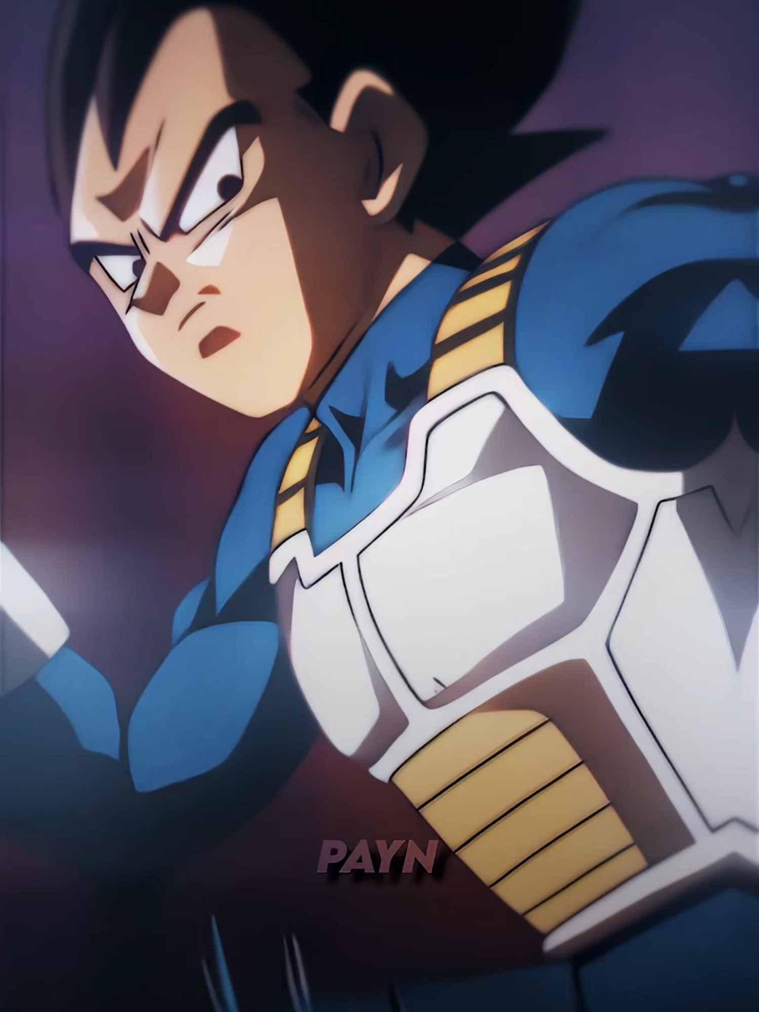 @payn_ae