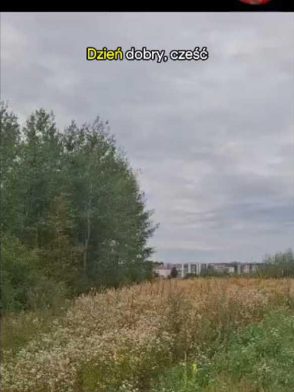 @andrzejfilipowicz00