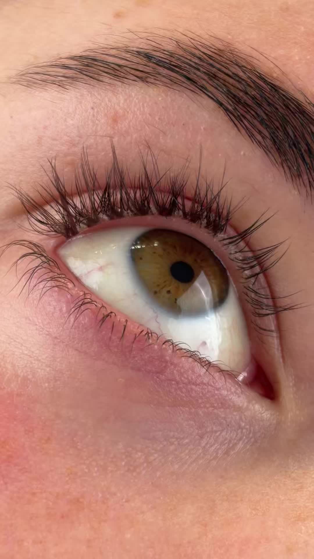 @ilashuk
