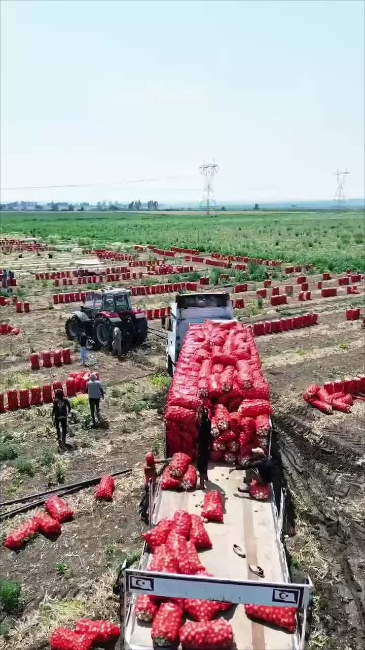@şehmus kartal 82🦅