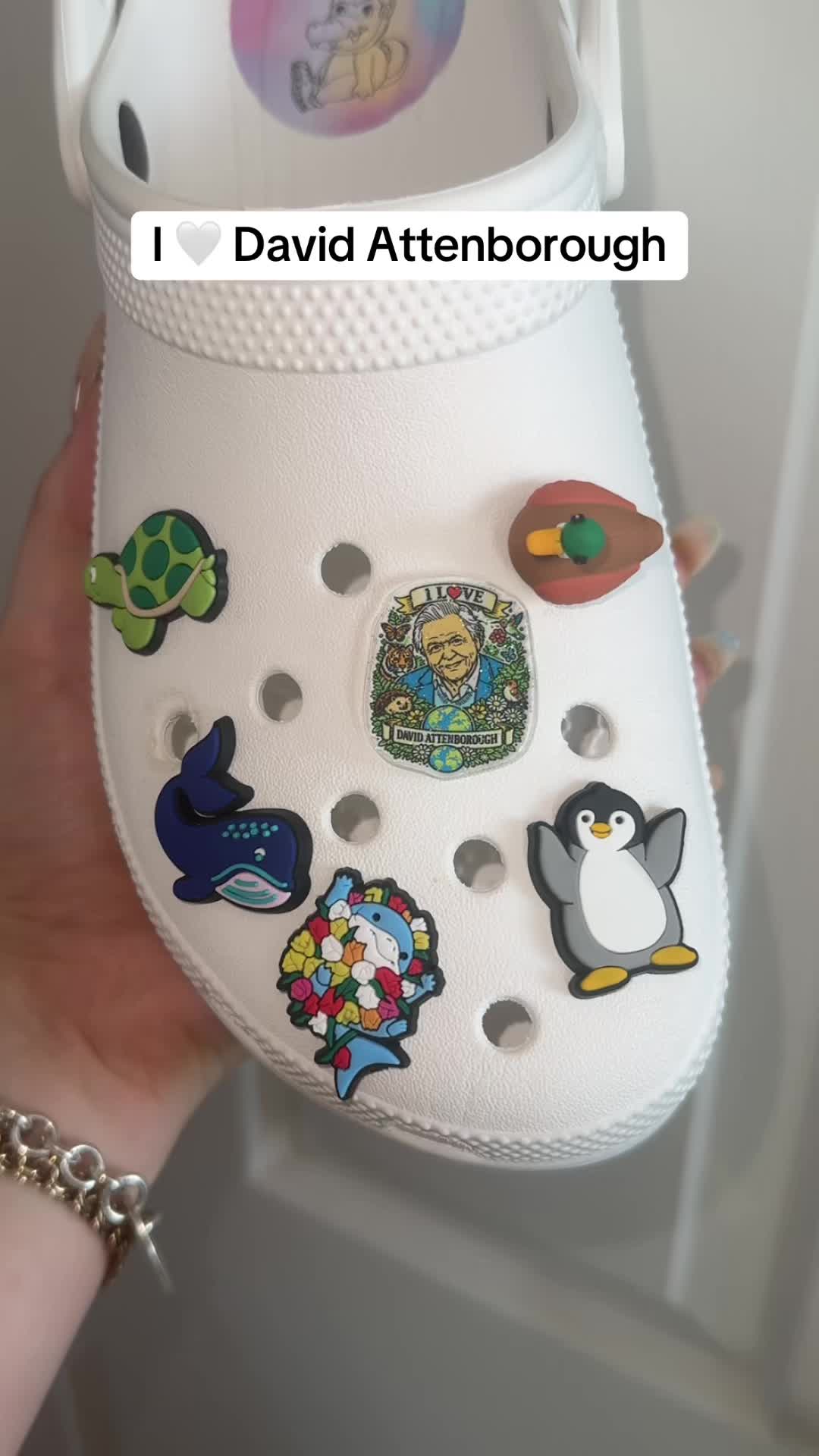 @Crocoscharms