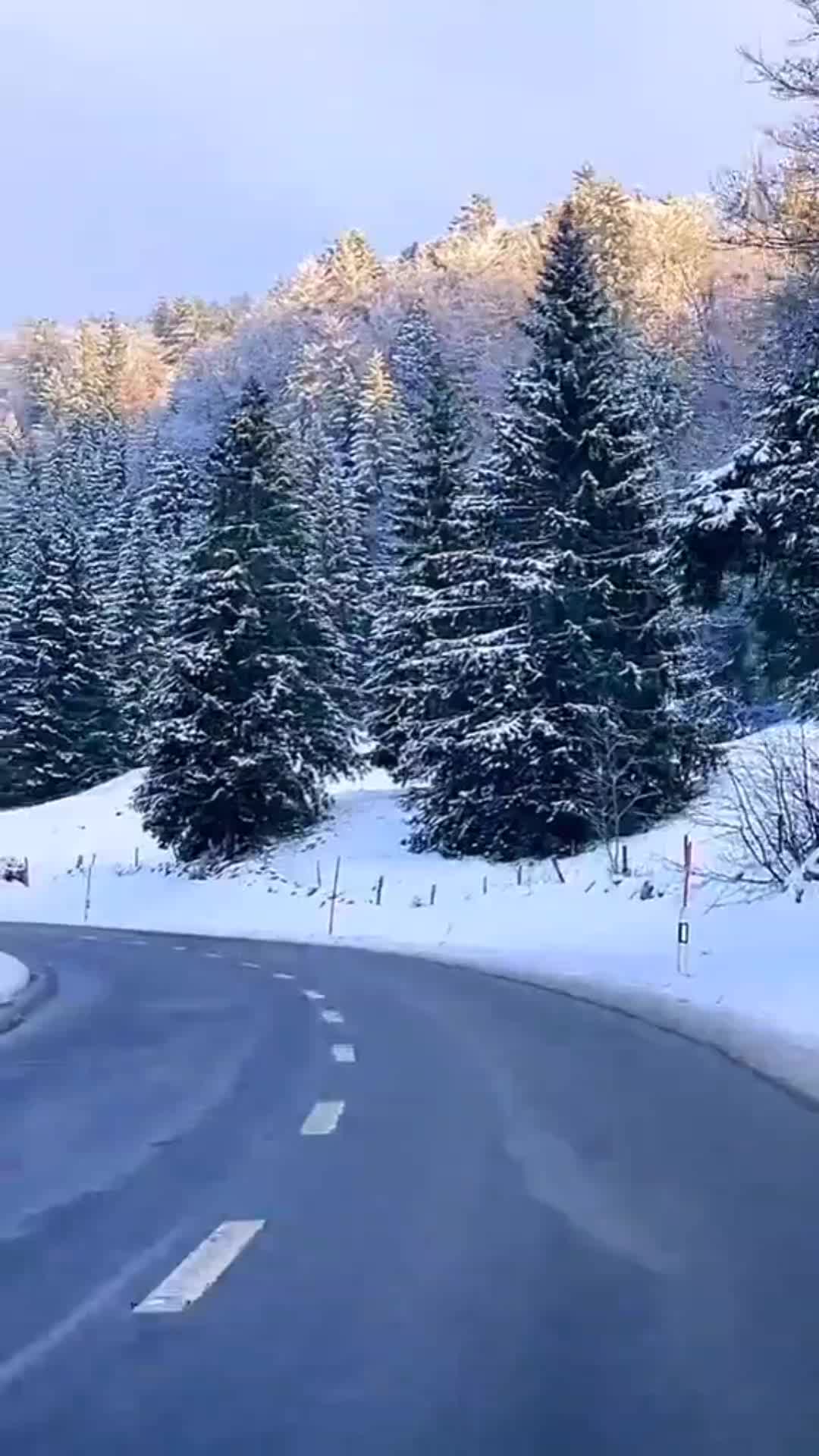 @nedoucha