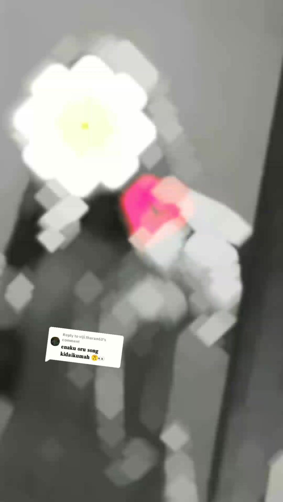 @&Iuml;&dagger;. ＄ ๓㉫ pr&Iuml;ƴA ĸu&dagger;&dagger;ƴ👀