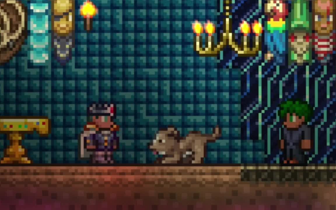 @terraria Mateusz