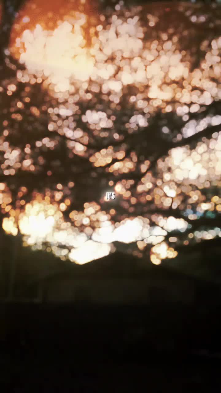 @Anything_But_Plan-B