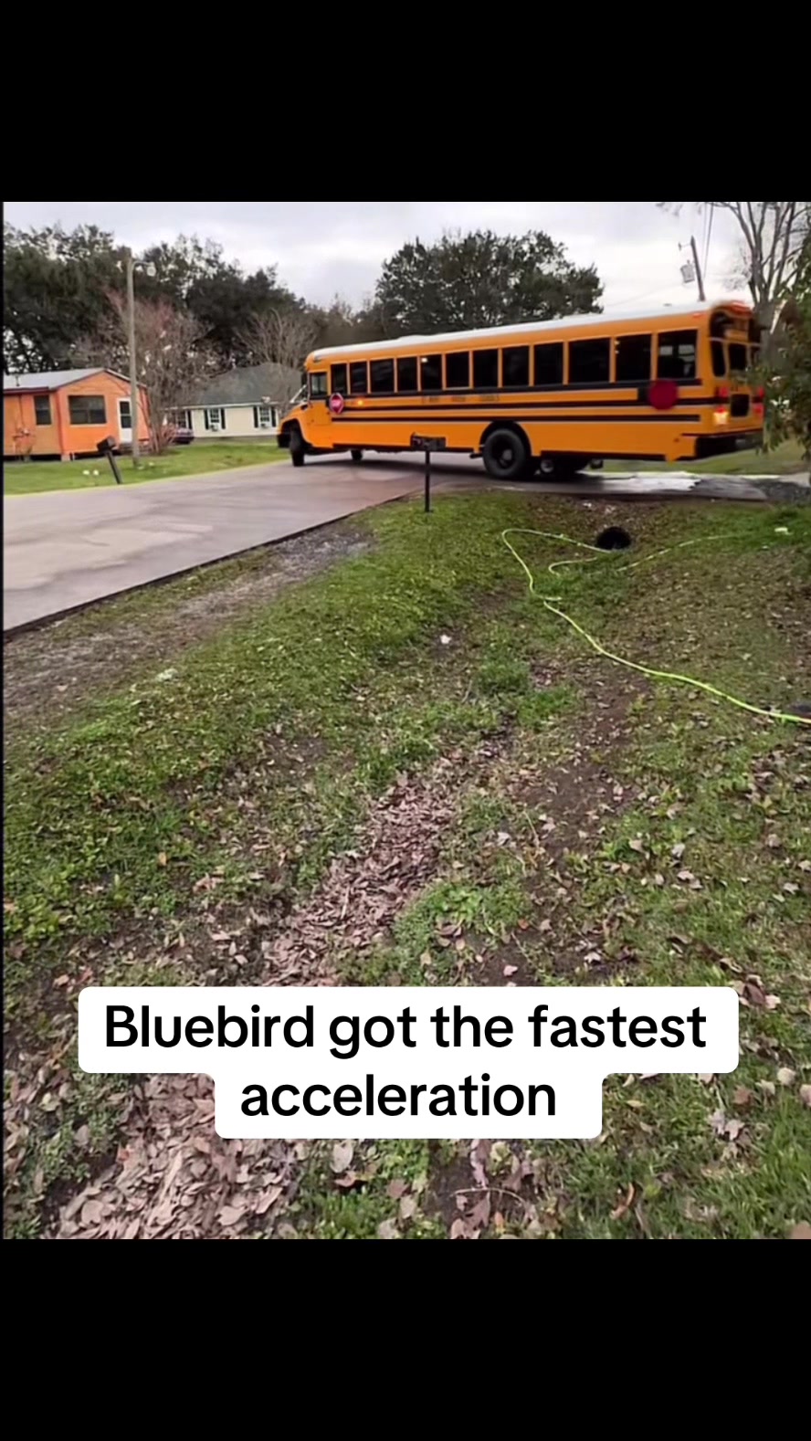 @Bluebirdbus302_Mr.Miller