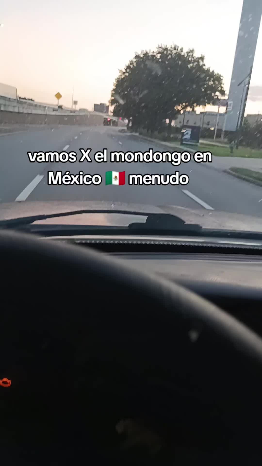 @el tigre 🐅 de Houston