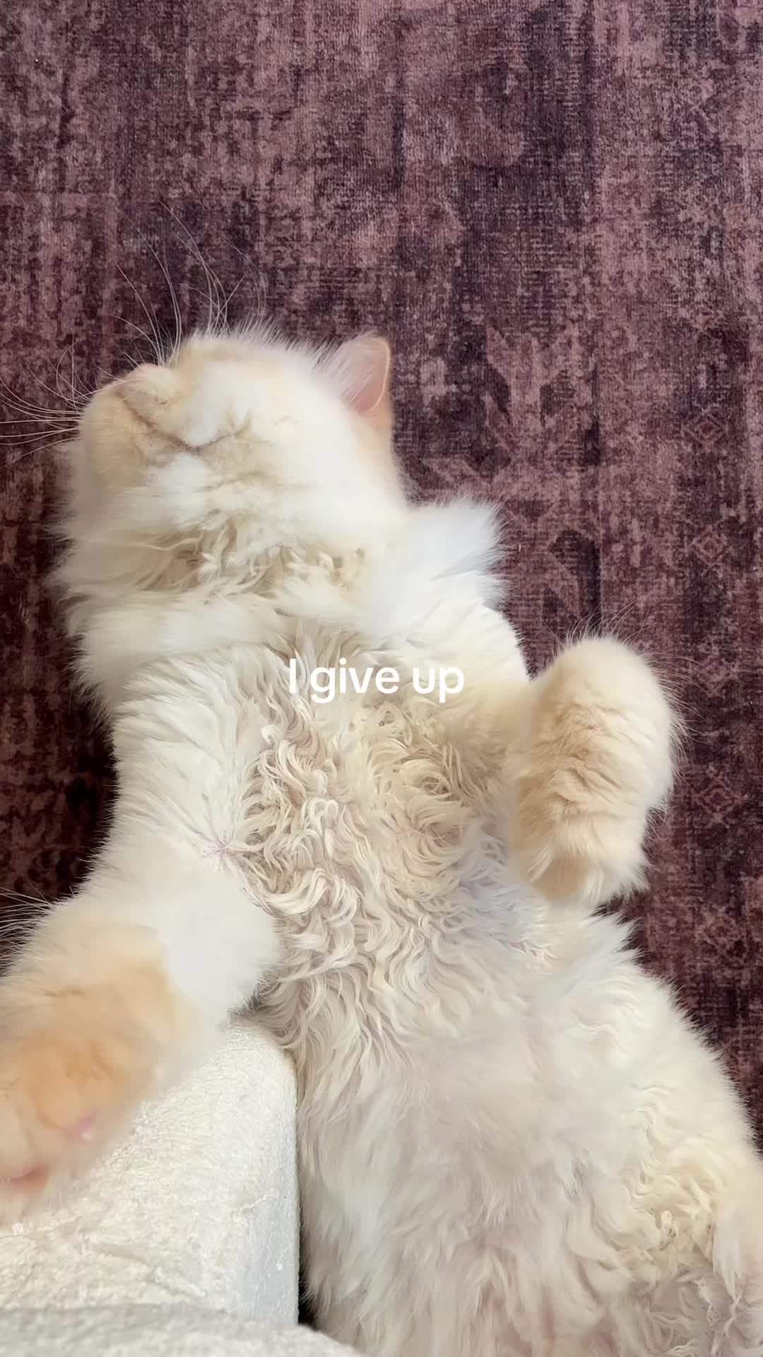 @Girl1nSpace