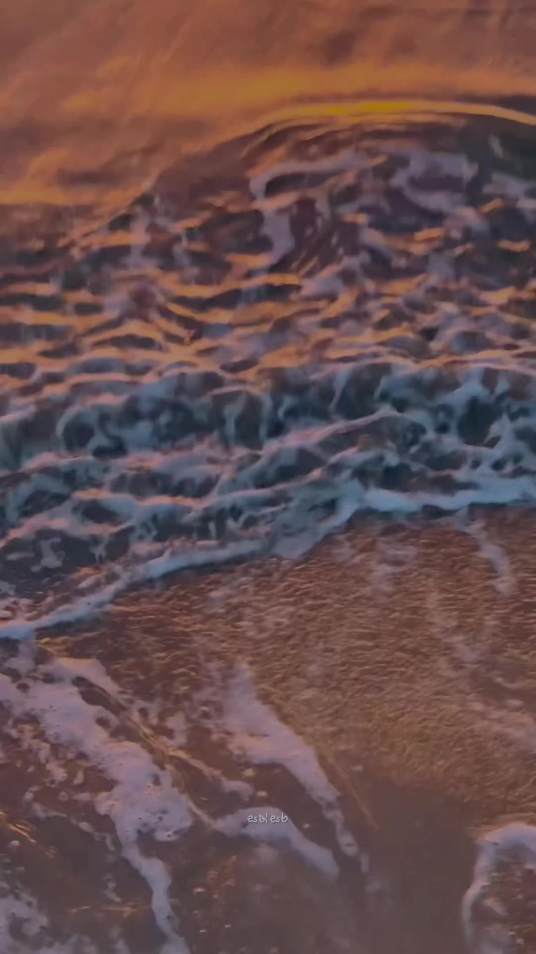 @𝗦𝗮𝘁𝗵𝘀𝗮𝗿𝗮 🤍 !