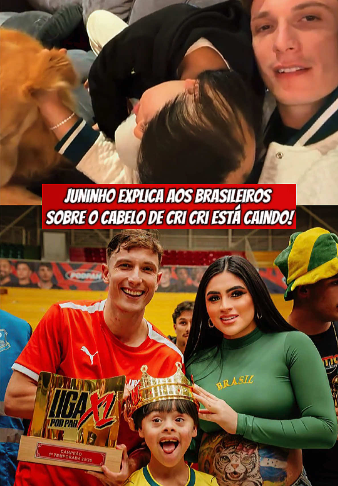 @Junirox Brasil 🇧🇷🐯💚🐢