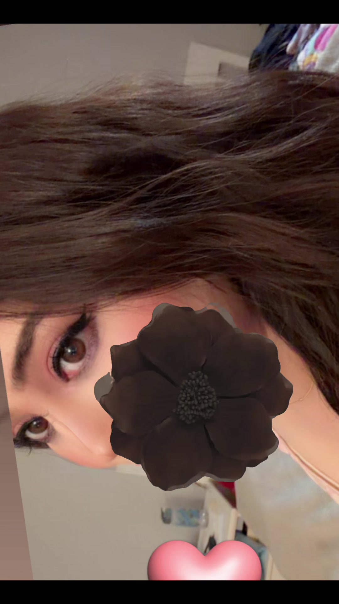 @bixkit100 🍪