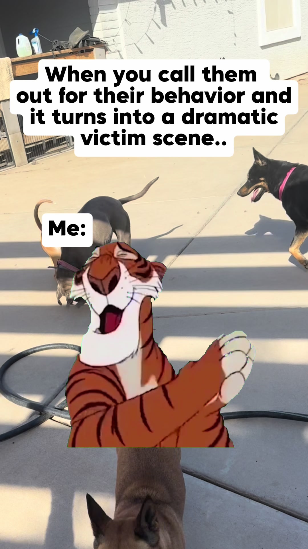 @Shepsky Mom