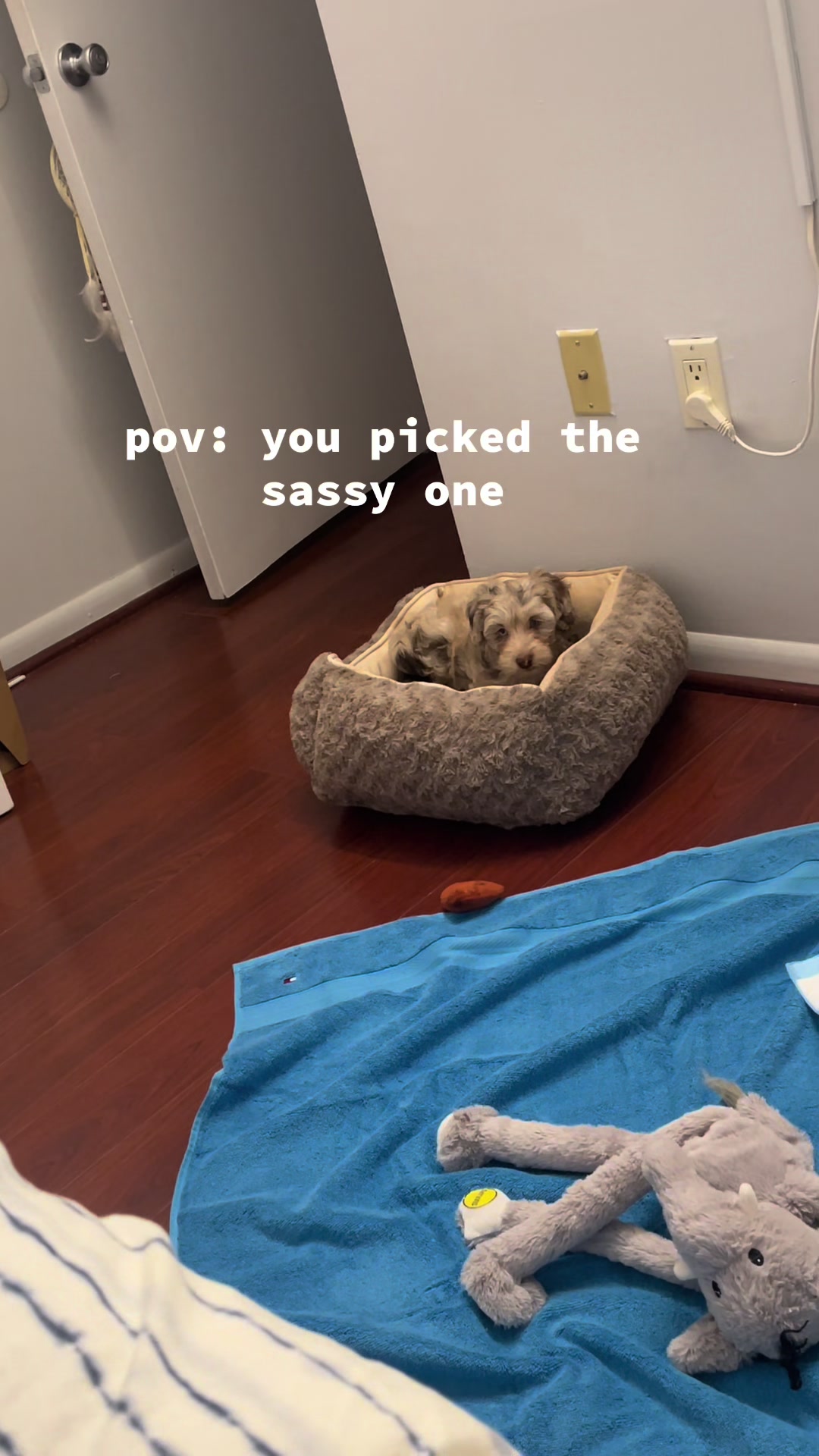@itskatiiexo