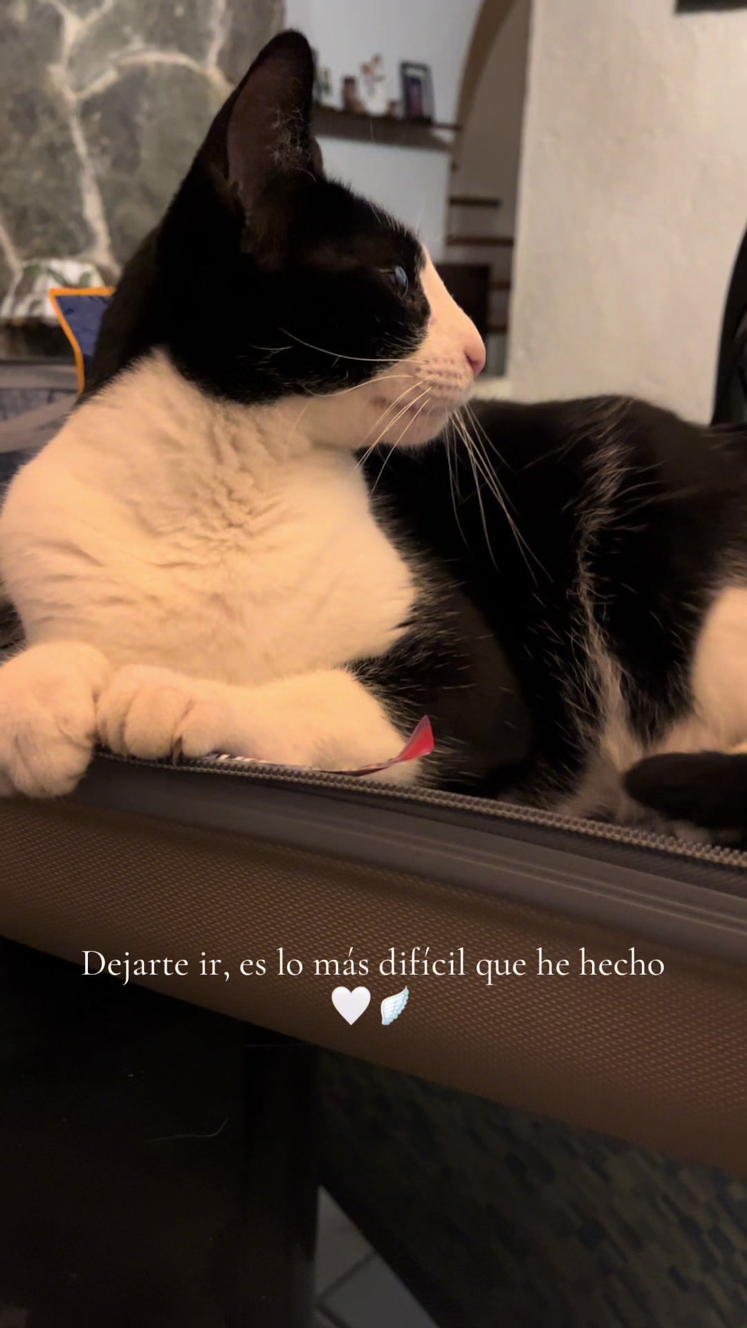 @Ale Bonilla
