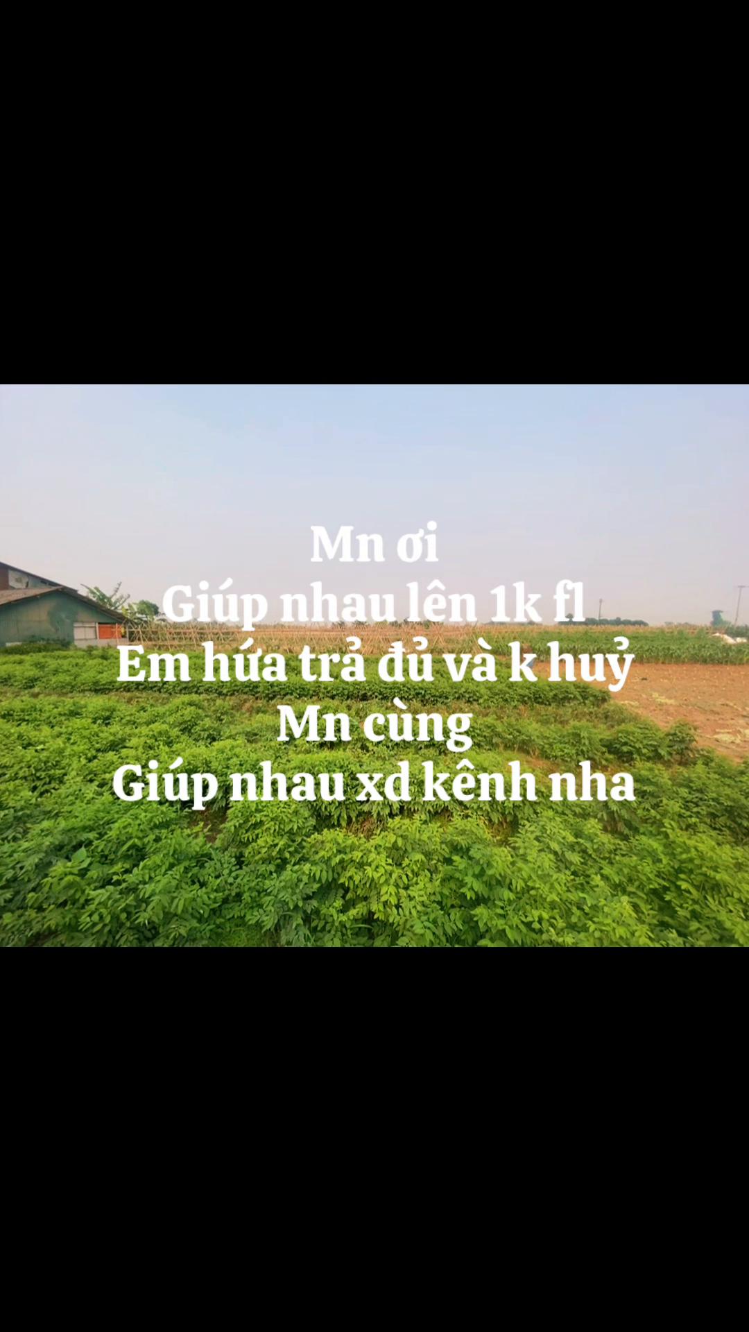 @user12385774201