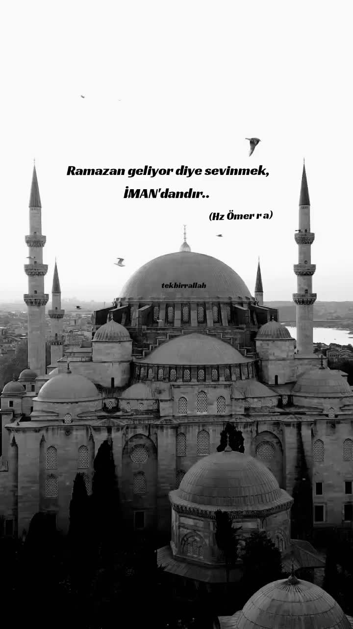 @tekbirr_Allah