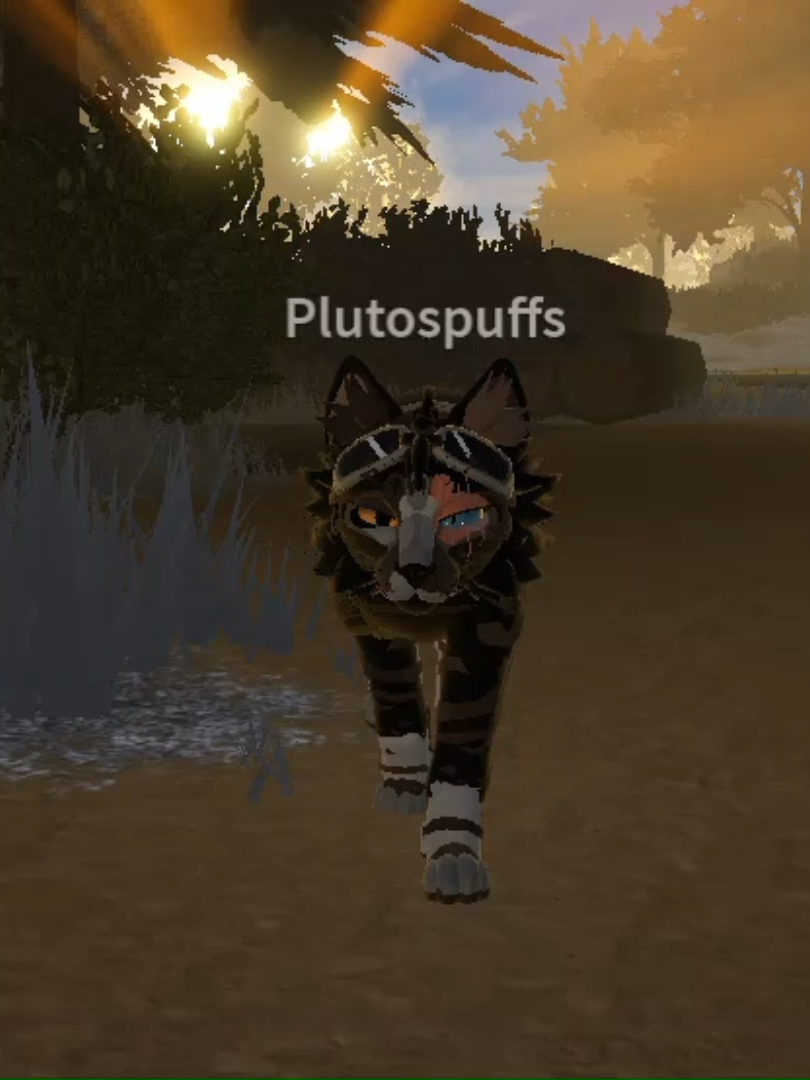 @PLUTO