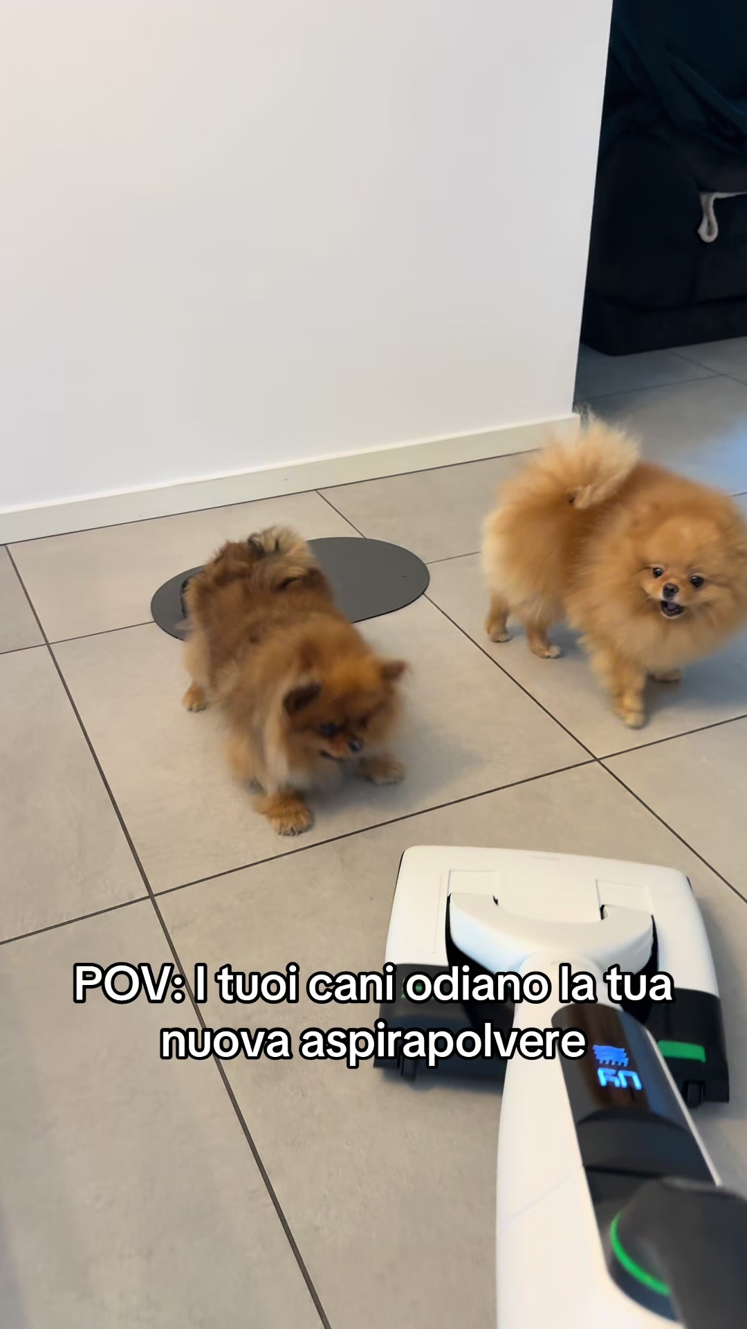 @Chiara Argenti