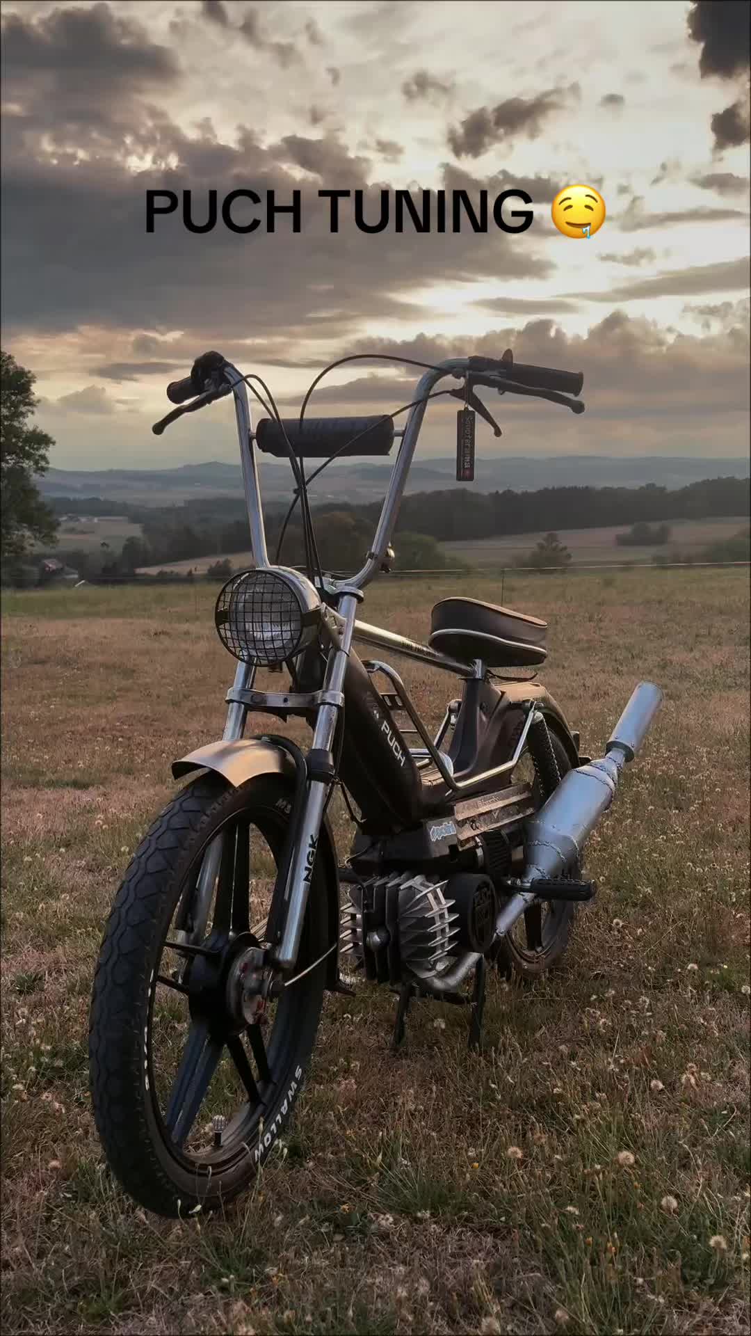 @Black_Puch_swiss