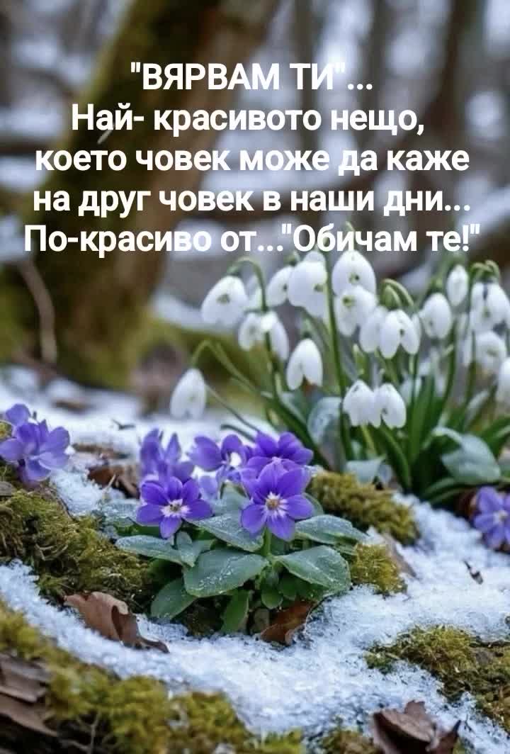 @Ventsi