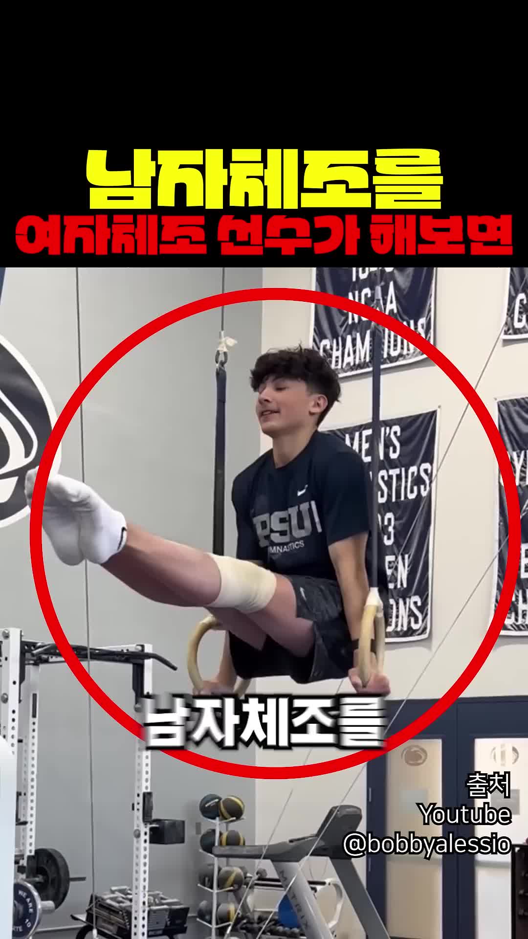 @짱아까미