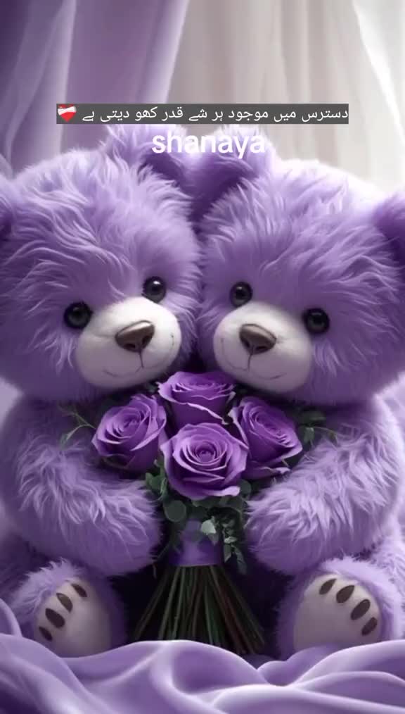 @shanaya princess 🫶